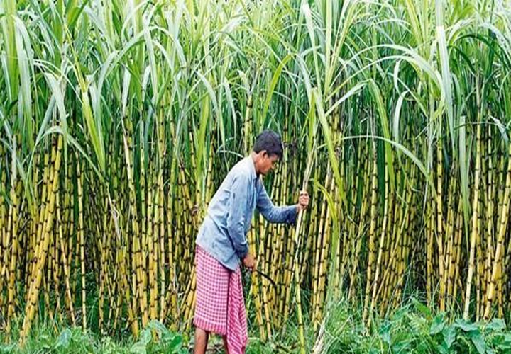ഇന്ത്യയുടെ സാമ്പത്തിക ലീഗ് പട്ടികയില്‍ കര്‍ണ്ണാടകയും തമിഴ്‌നാടും മുമ്പില്‍; മിന്റിന്റെ സ്റ്റേറ്റ് ഇക്കണോമി ട്രാക്കറിലെ ജനുവരിയിലെ വിവരങ്ങള്‍ പുറത്ത്