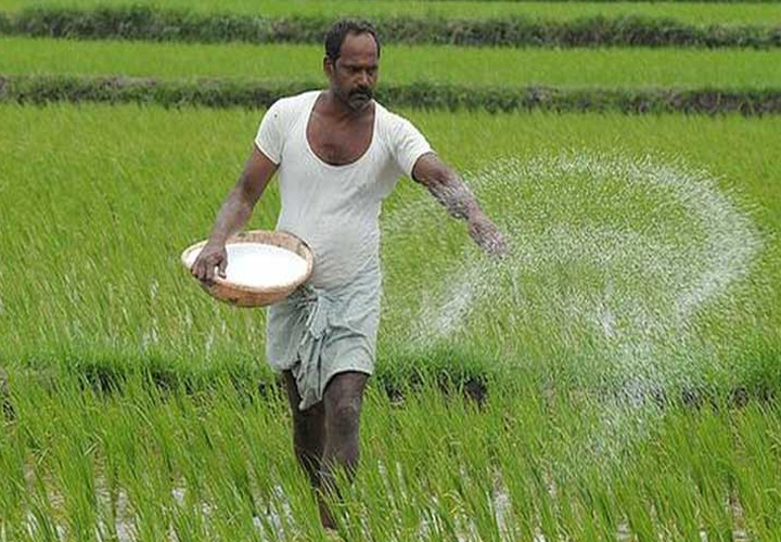 റഷ്യ-യുക്രൈന്‍ യുദ്ധം: രാസവളത്തിന്റെ വില വര്‍ധിക്കുന്നു; കര്‍ഷകര്‍ ദുരിതത്തില്‍