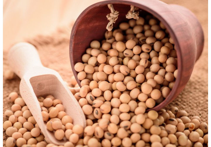 ഭക്ഷ്യ എണ്ണയിലെ കയറ്റുമതിയില്‍ ഇടിവ്; തിരിച്ചടിയായത് ഇറാനെതിരെ അന്താരാഷ്ട്ര തലത്തില്‍ ഏര്‍പ്പെടുത്തിയ വ്യാപാര ഉപരോധം
