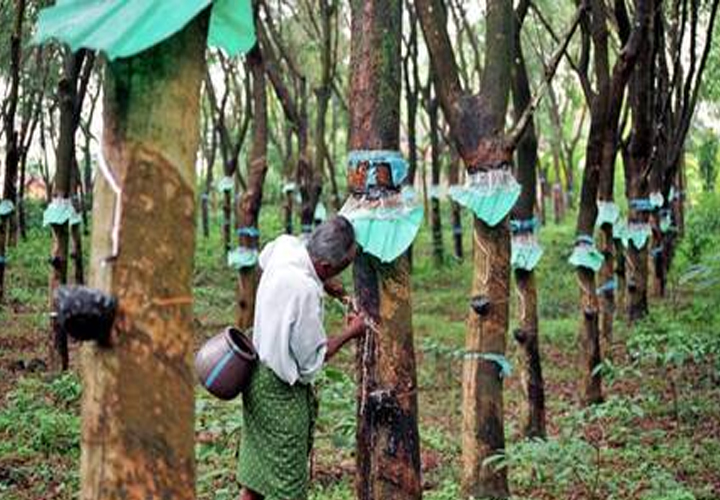 സ്വാഭാവിക റബറിന്റെ ഡിമാന്റ് കുറഞ്ഞേക്കും: ജിയോജിത്