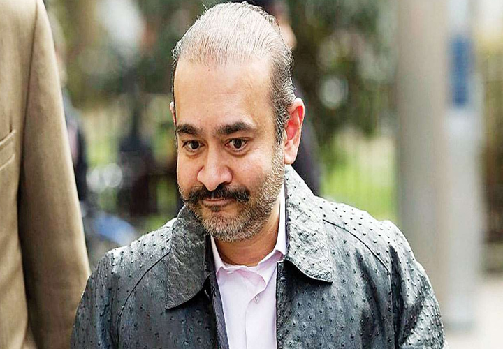 ഇഡിയ്ക്ക് സഹായവുമായി നീരവ് മോദിയുടെ സഹോദരി;  17.25 കോടി രൂപ സര്‍ക്കാരിലേക്കെത്തി