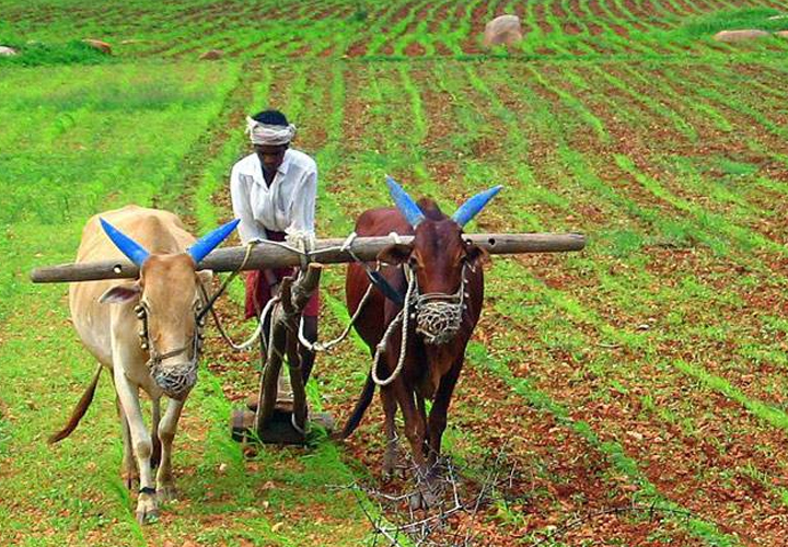 പിഎം കിസാന്‍ സമ്മാന്‍നിധിയ്ക്ക് ഒന്നാംവാര്‍ഷികം; 8.46 കര്‍ഷകര്‍ക്ക് വിതരണം ചെയ്തത് അമ്പതിനായിരം കോടി രൂപ